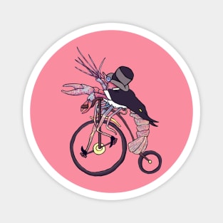 Lobster Shrimp Gentleman on Retro Bicycle Magnet